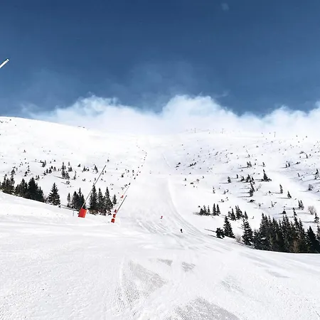 Limba Dolina Demianowska