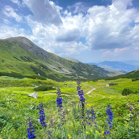 Limba Lejlighed Demänovská Dolina
