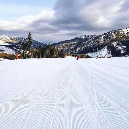 Limba Demänovská Dolina