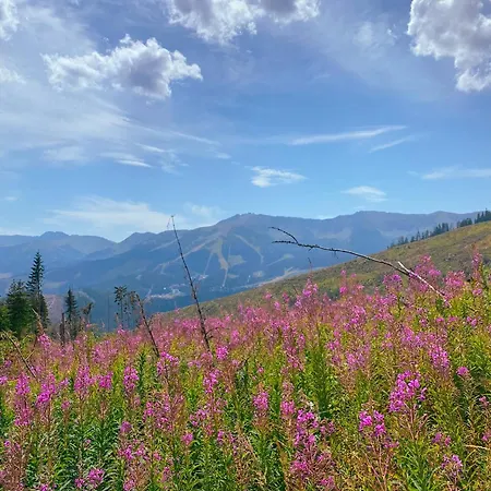 Lejlighed Limba Demänovská Dolina